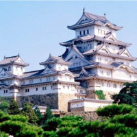 特价机票:吉祥航空 上海直飞名古屋7天往返含税