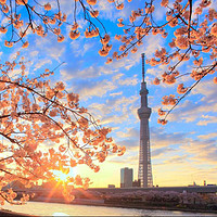 特价机票：国航 北京-日本大阪/东京/札幌/冲绳/福冈/名古屋5-10天往返含税