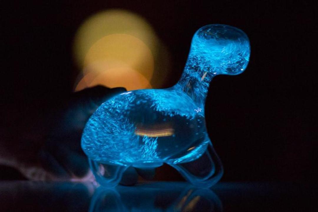 小恐龙生物灯 把浪漫荧光海滩装回家