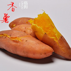 众丞 黄心番薯 5斤