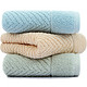 SANLI 三利 纯棉A类标准简约素雅毛巾超值 3条装 34×71cm  *5件