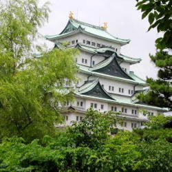 东方航空 上海直飞名古屋+东京6天往返含税机票