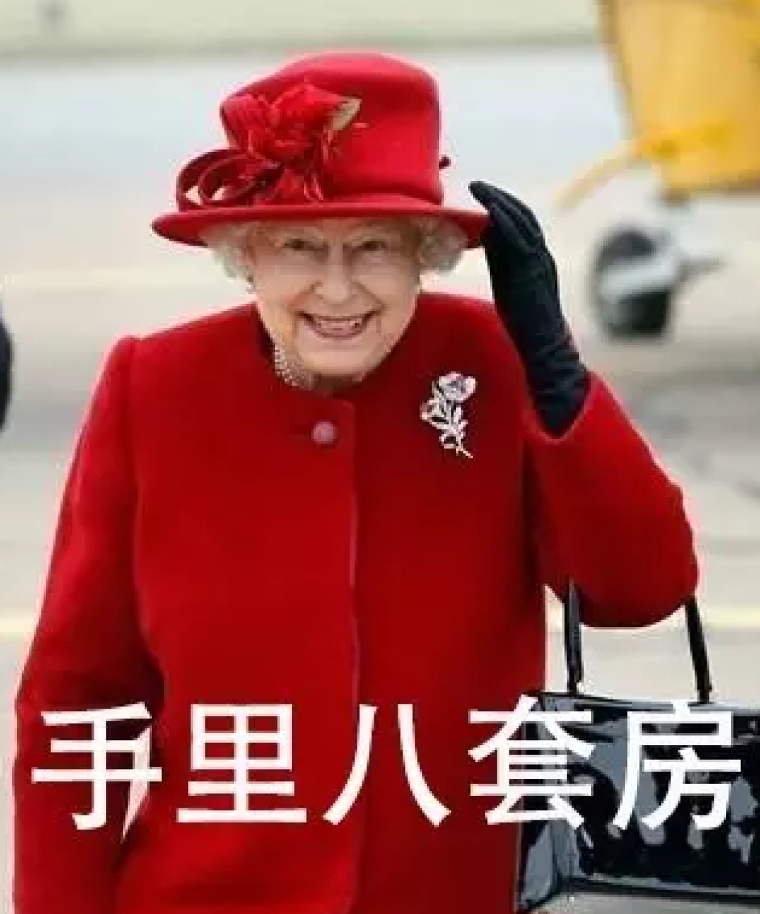 菠萝斑马 | 如何在厨房里花光100万