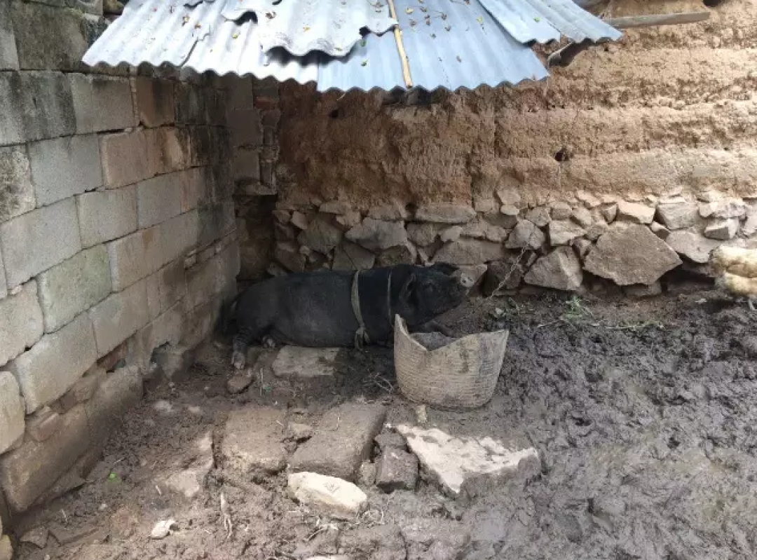 中国最漂亮的地毯差点就失传了