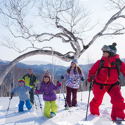 日本北海道星野TOMAMU度假村塔娃大酒店1晚