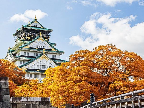 全国7城-日本多地(关西/本州/环岛)5-8天跟团游