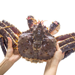 wecook 味库 俄罗斯进口鲜活帝王蟹 2000g 