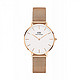 Daniel Wellington 丹尼尔惠灵顿 DW00100163 女士时装手表