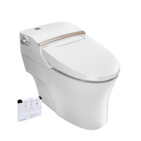 American Standard 美标 CEAS5392 一体智能马桶