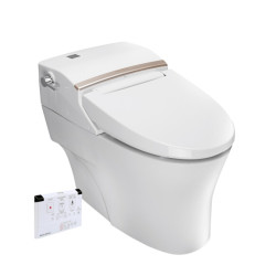 American Standard 美标 CEAS5392 一体智能马桶