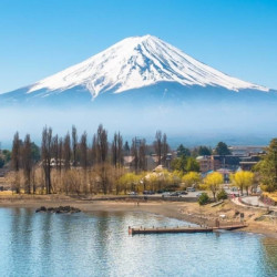 国内接送机 + 日本接送机/包车