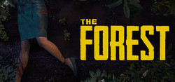 《The Forest（森林）》PC数字版游戏