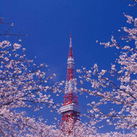 28日大促：京东旅行 机票优惠券