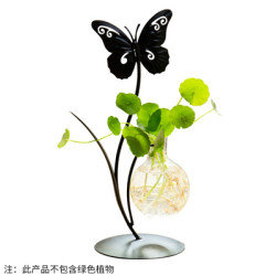 BOMAROLAN 堡玛罗兰 铁艺欧式水培花瓶