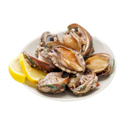 飞鱼穿梭 大连鲜活鲍鱼 500g 约15-18头 盒装+蒙都 神涮牛肉片 500g/桶