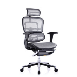 Ergonor 保友办公家具 金豪b高配版 人体工学电脑椅 银白色 美国网