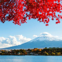尾单特惠：北京-日本大阪+奈良+京都+箱根+东京7日6晚跟团游