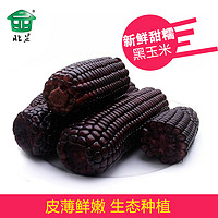 北显 东北黑糯玉米棒 300g/2根