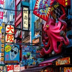 天津-日本本州（东京+大阪+京都+奈良）6日5晚跟团游