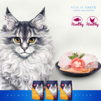 零趣三文鱼鸡肉味猫粮1.2公斤