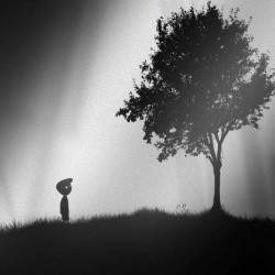 灰暗简单却充满力量，一点都不“大作”的好故事盘点