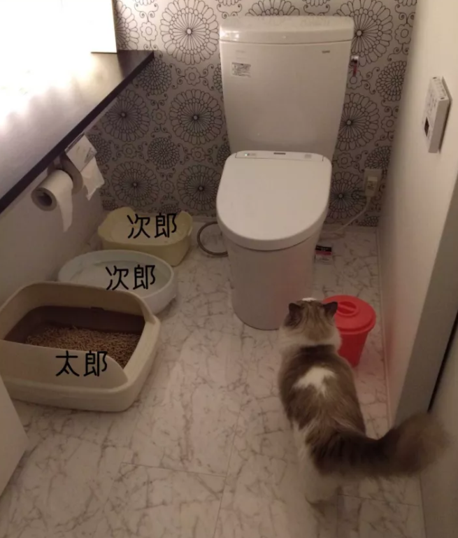 世界上最复杂的家庭动线,流着眼泪也要规划好