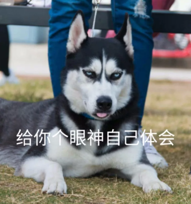 世界上最复杂的家庭动线,流着眼泪也要规划好