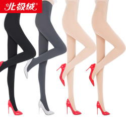 Bejirog 北极绒 打底袜
