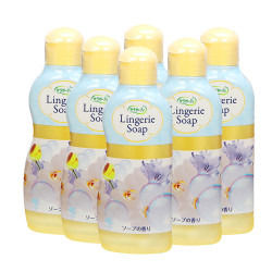 KOBAYASHI 小林制药 内衣内裤专用清洗剂 120ml*6瓶