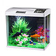 海星鱼缸水族箱数显生态智能玻璃鱼缸触控小鱼缸迷你金鱼缸HX-319F