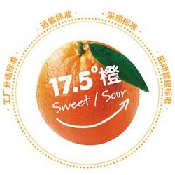 NONGFU SPRING 农夫山泉 17.5°橙  铂金果 年货礼盒装 3kg