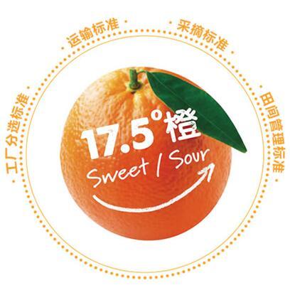 #年货大作战#买什么水果过大年?水果行业内部人士说草莓车厘子橙子要这样买!