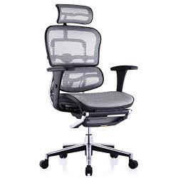  Ergonor 保友办公家具 金豪款 人体工学电脑椅