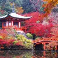 含春节班期：全日空 北京-日本本州7天6晚跟团游