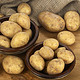 白菜党：高山小土豆  老品种传统种植 1000g