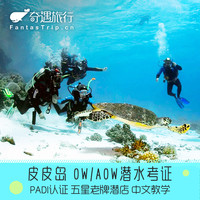 出逃到海底：羡慕别人？不如去考个潜水证