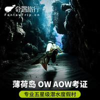 出逃到海底：羡慕别人？不如去考个潜水证