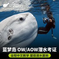 出逃到海底：羡慕别人？不如去考个潜水证