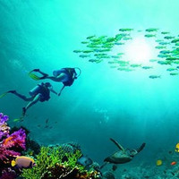 潜水胜地：上海-印尼美娜多4-6日半自助游