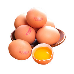 晋龙 鲜鸡蛋 740g(16枚)