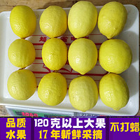 晓乡 鲜柠檬 5斤