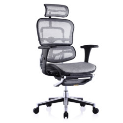  Ergonor 保友办公家具 人体工学电脑椅 金豪限定款+躺舒宝