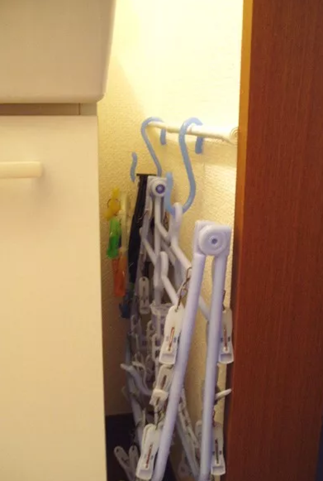 菠萝斑马 | 日本最火爆死角收纳利器,都在十元店里!