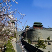 纯玩无购物：北京1日游 当地参团