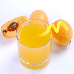 鲜绿园 枇杷汁饮料 310ml*6瓶-什么值得买