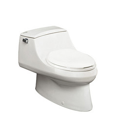 KOHLER 科勒 K-5483T-C-0 圣拉菲尔 连体座便器