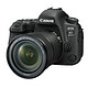 Canon 佳能 EOS 6D Mark II 单反套机（EF 24-105mm f/3.5-5.6 IS STM 镜头）