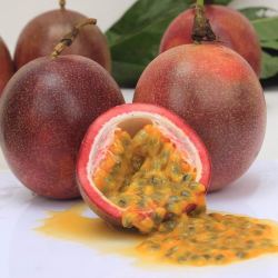 广西百香果5斤大果新鲜现摘热带水果鸡蛋果西