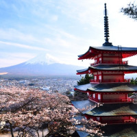 特价机票：全日空/日本航空 北京-日本东京/大阪/札幌2-30天往返含税