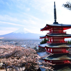 全日空/日本航空 北京-日本东京/大阪/札幌2-30天往返含税 